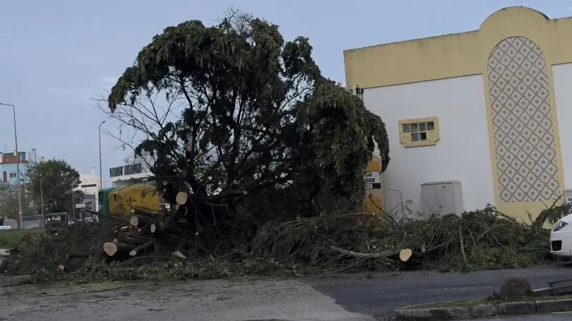 Caldas Da Rainha Efeitos Da Depressão