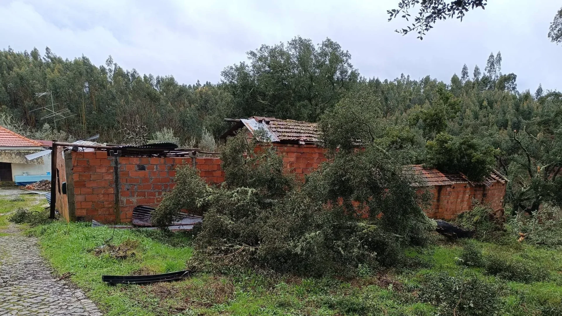 Covais Pedrogão Tempestade