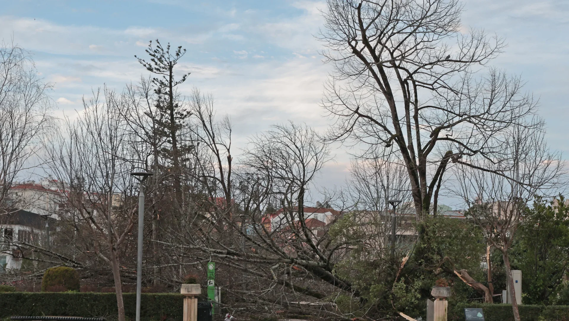 Destruição Total Em Leiria 10