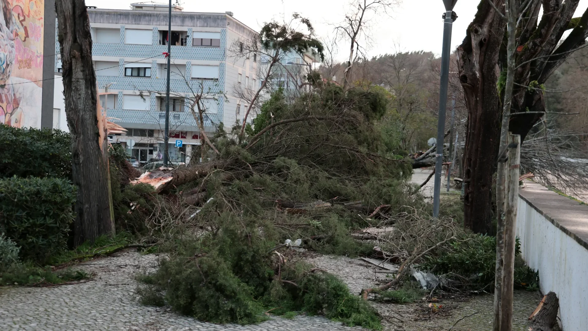 Destruição Total Em Leiria 12