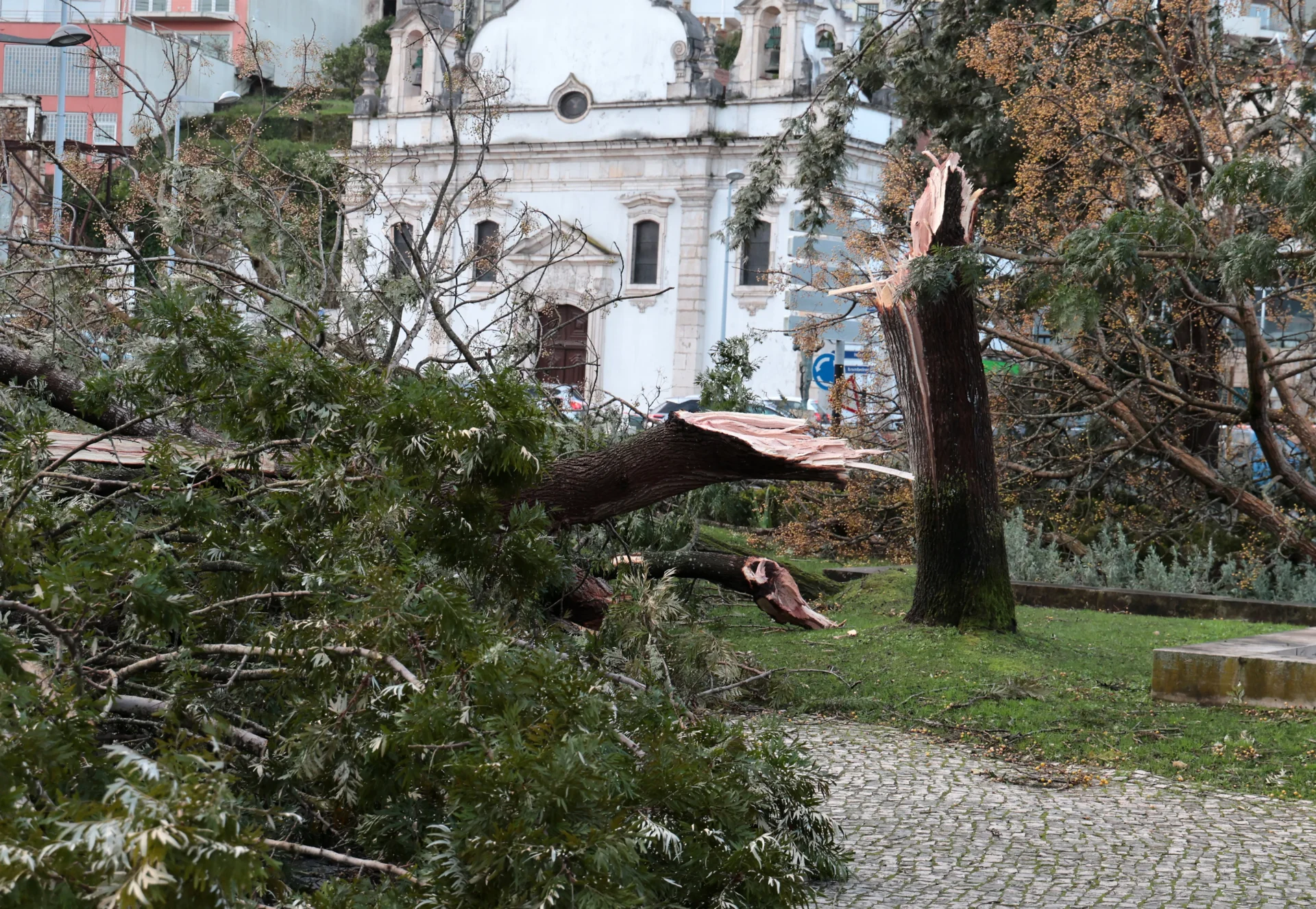 Destruição Total Em Leiria 7