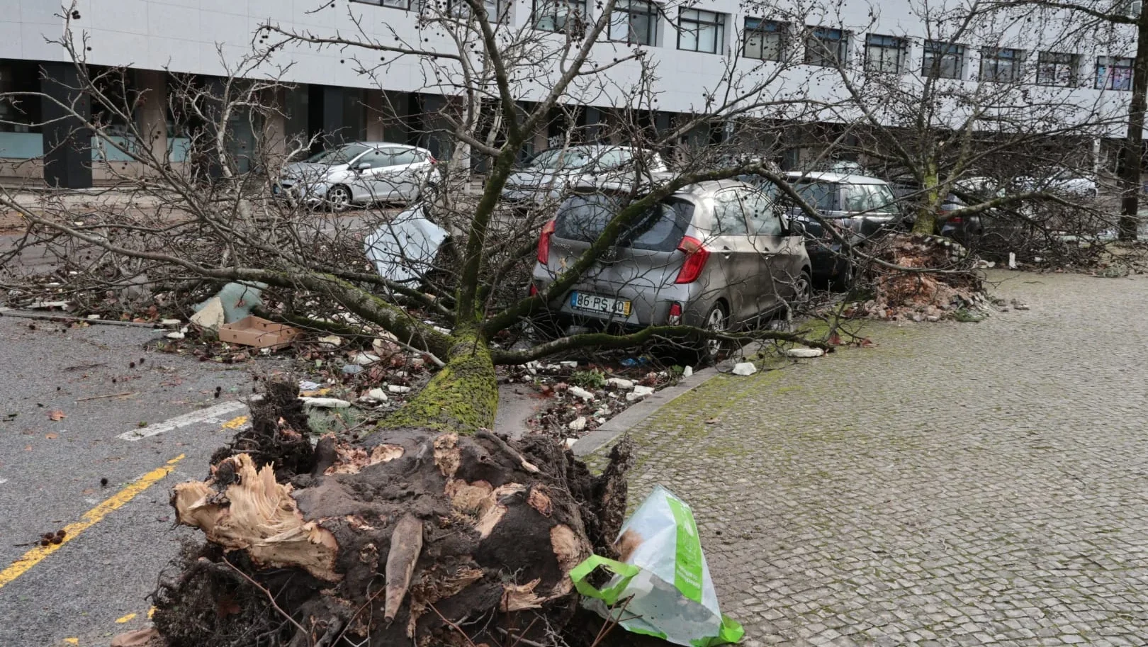 Leiria Destruída Pelo Mau Tempo 19