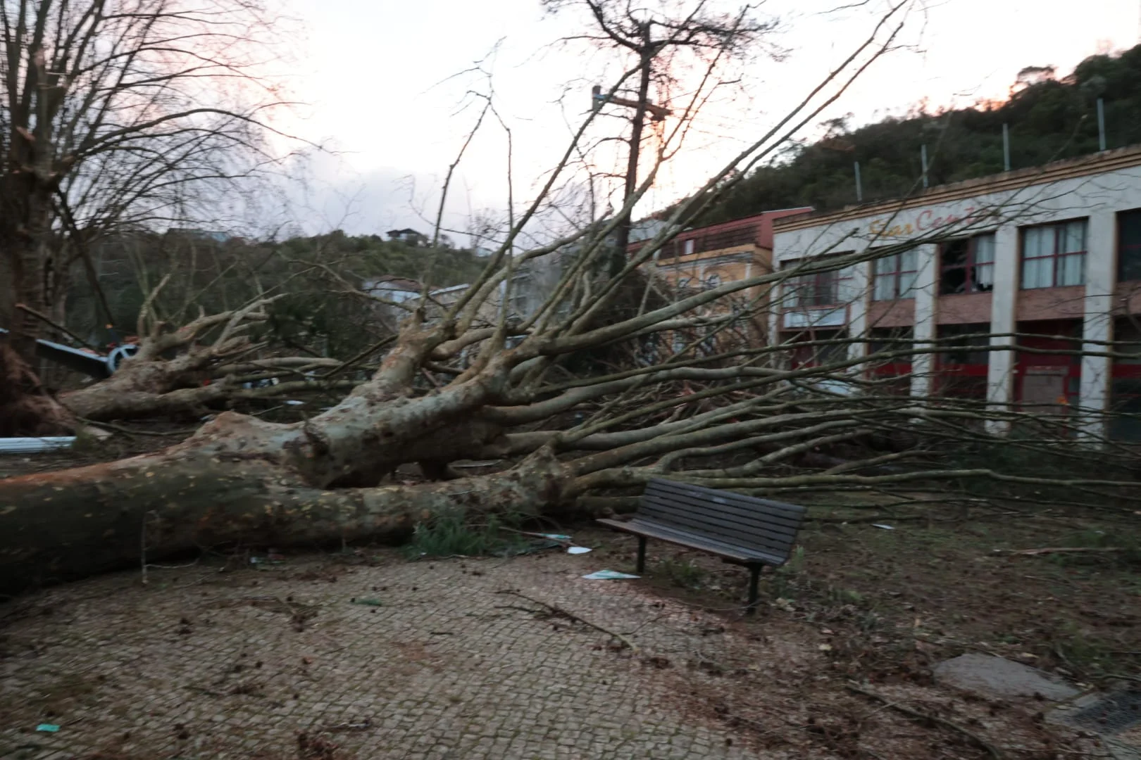 Leiria Destruída Pelo Mau Tempo 2