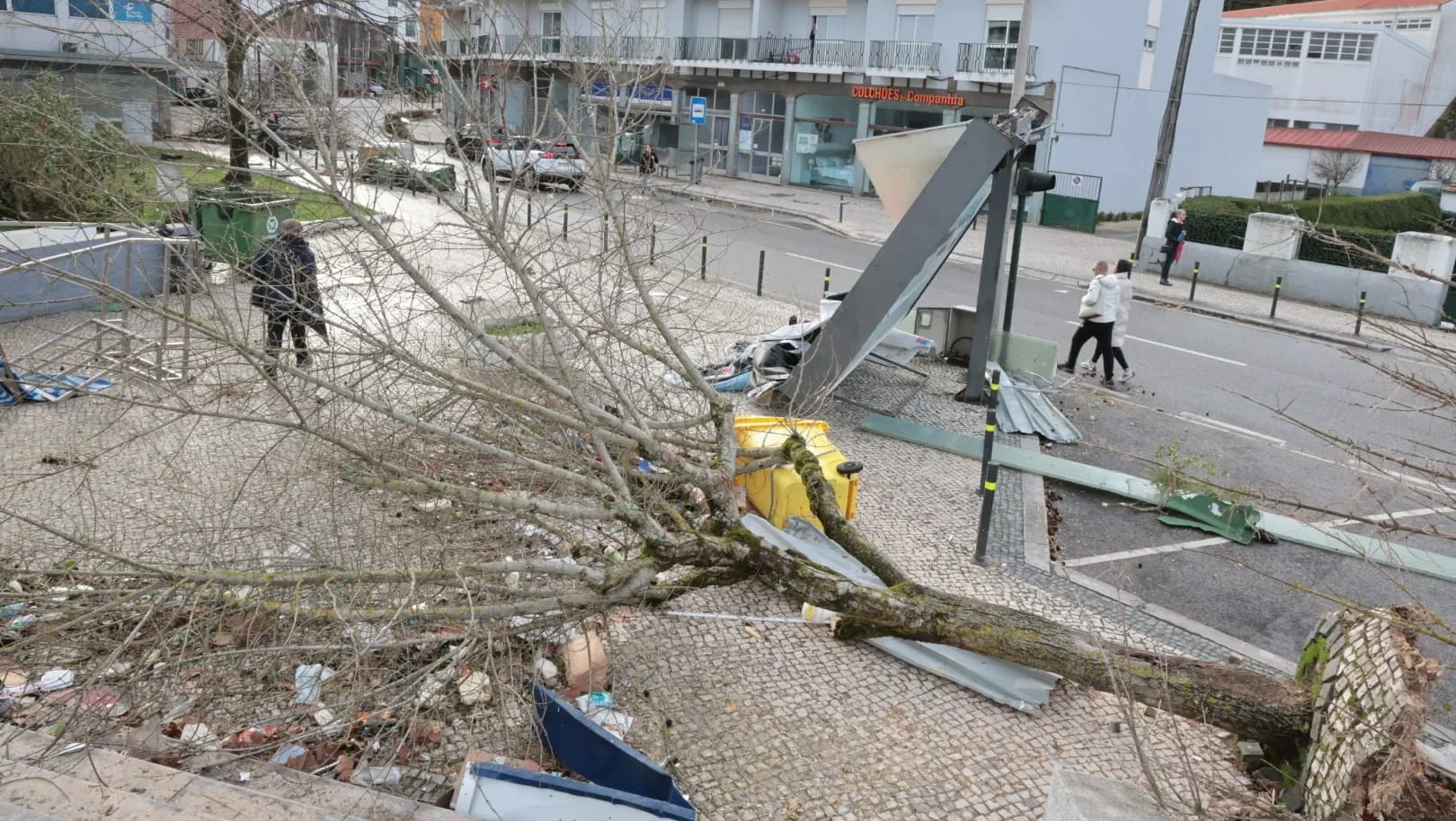 Leiria Destruída Pelo Mau Tempo 22