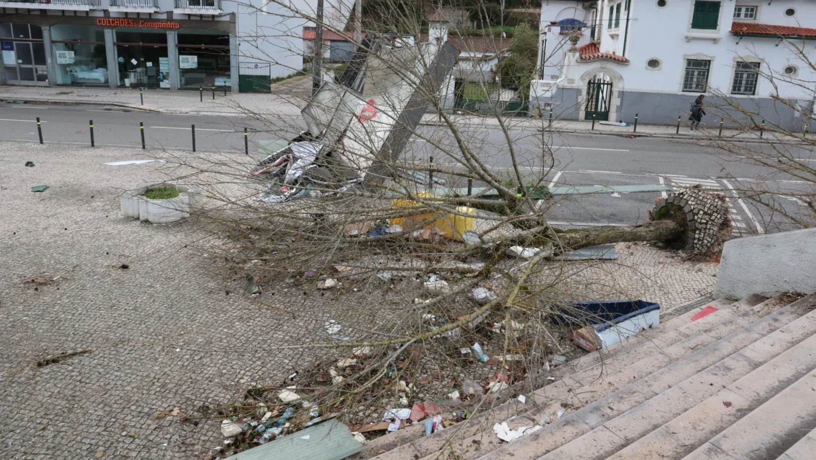 Leiria Destruída Pelo Mau Tempo 23