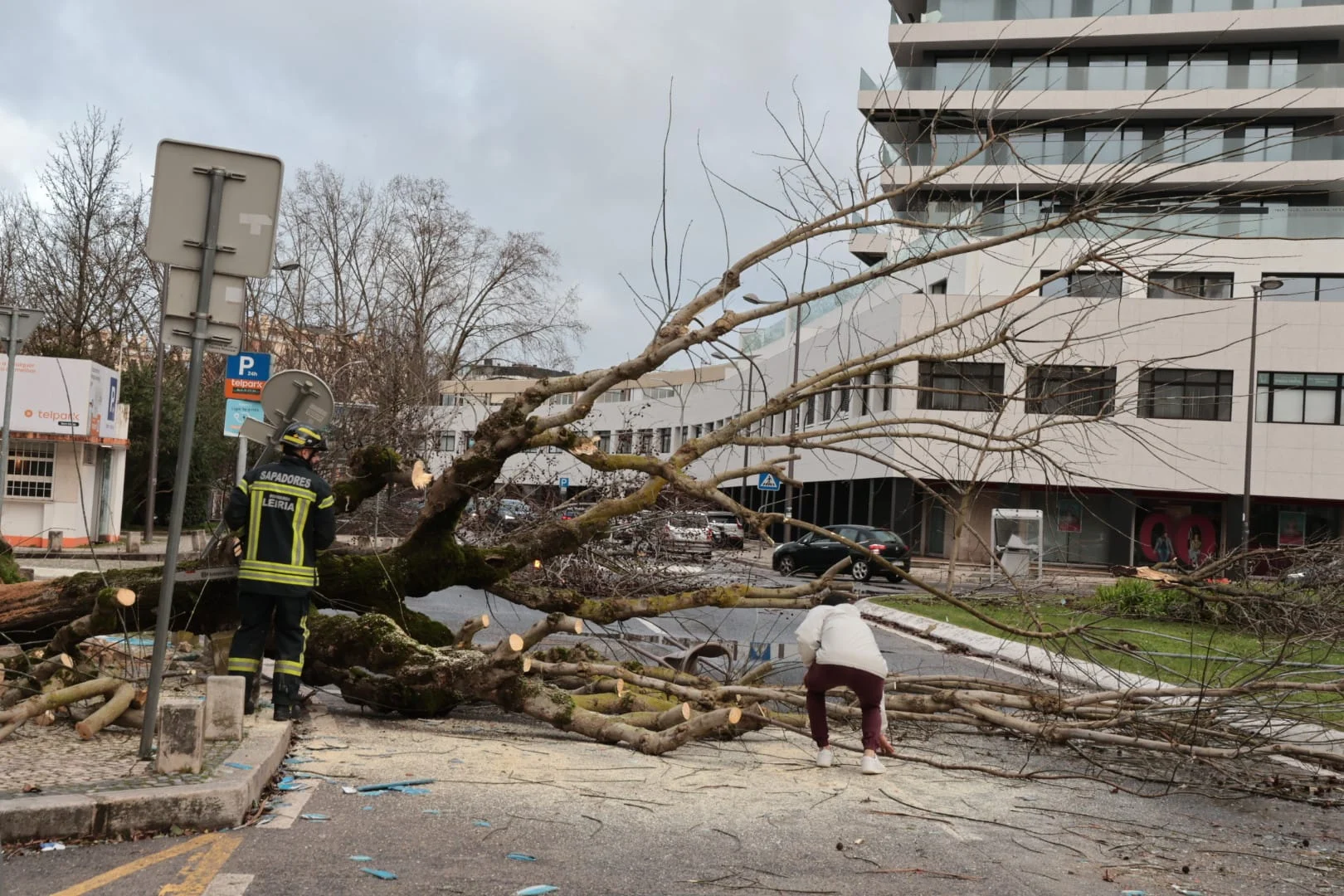 Leiria Destruída Pelo Mau Tempo 28