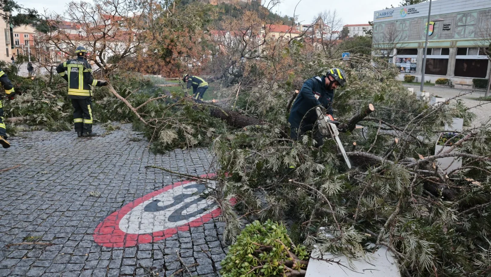 Leiria Destruída Pelo Mau Tempo 36