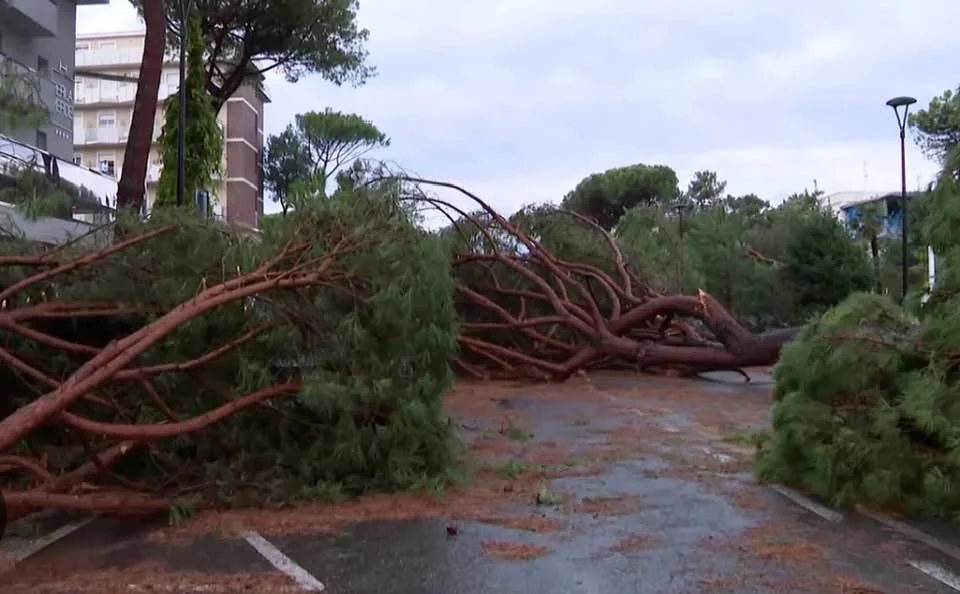 Marinha Grande Tempestade