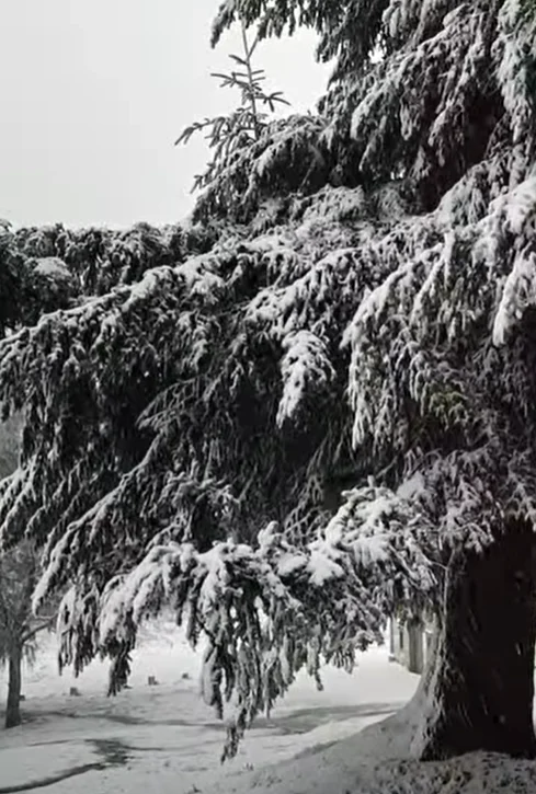 Neve Lousã 2