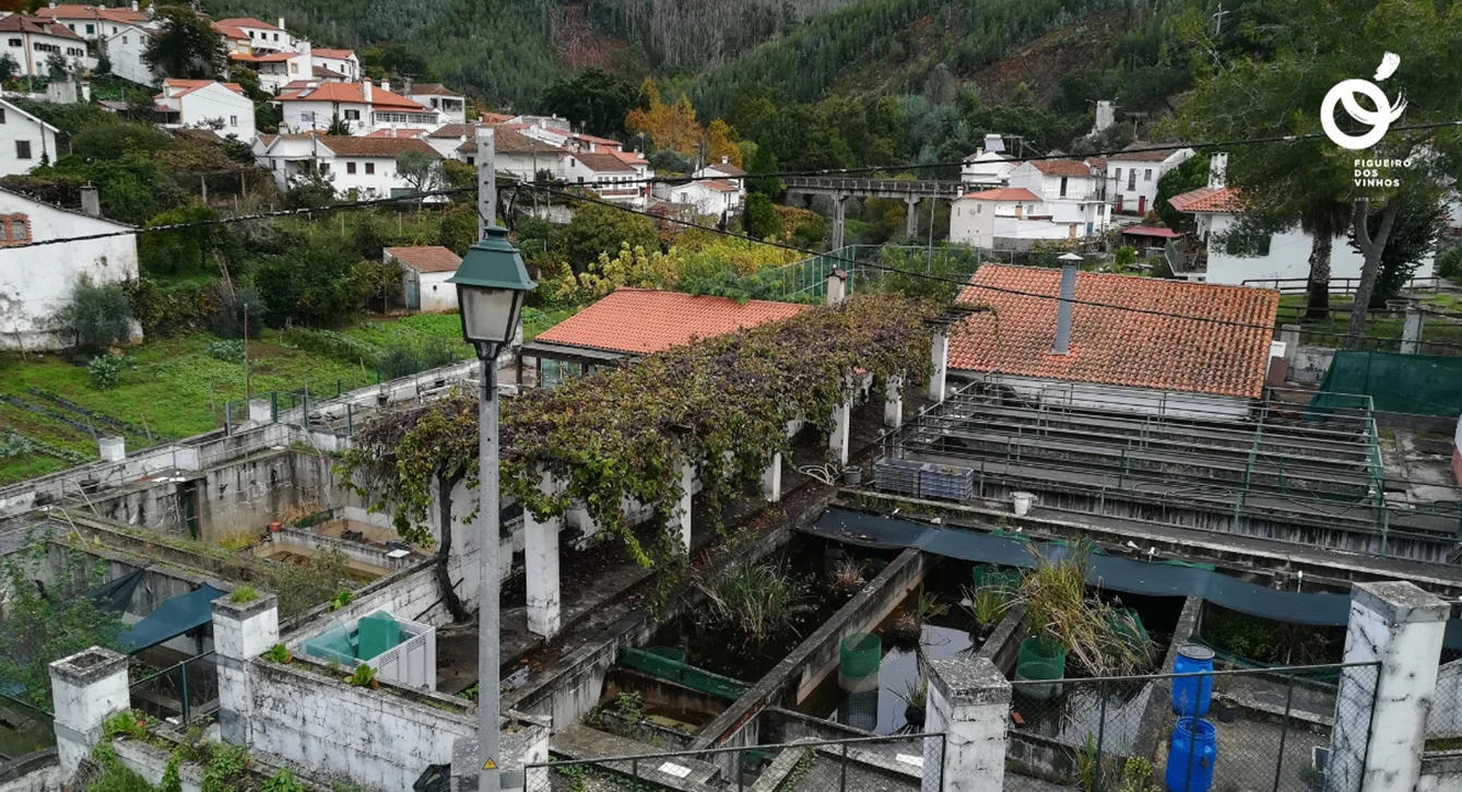 P14 Antigo Posto Aquícola De Campelo Cmfv