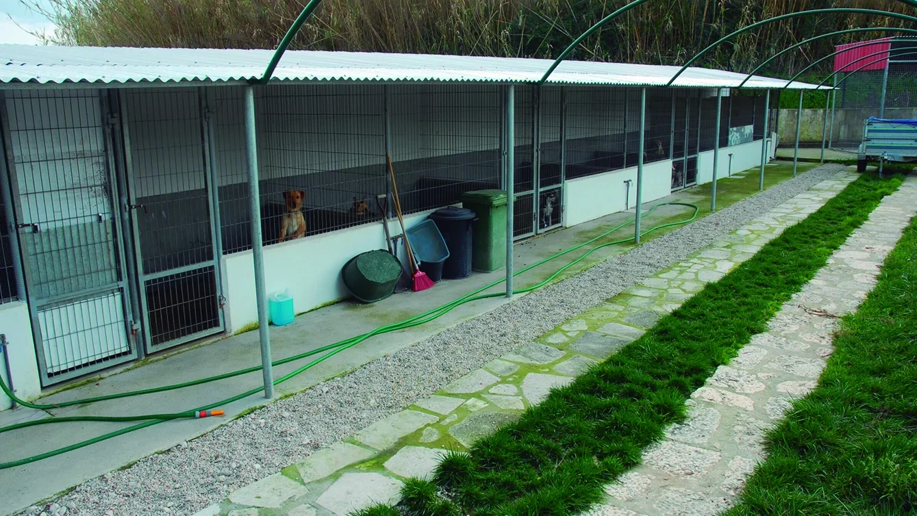 P3 Centro De Recolha Oficial Animais Leiria Cml