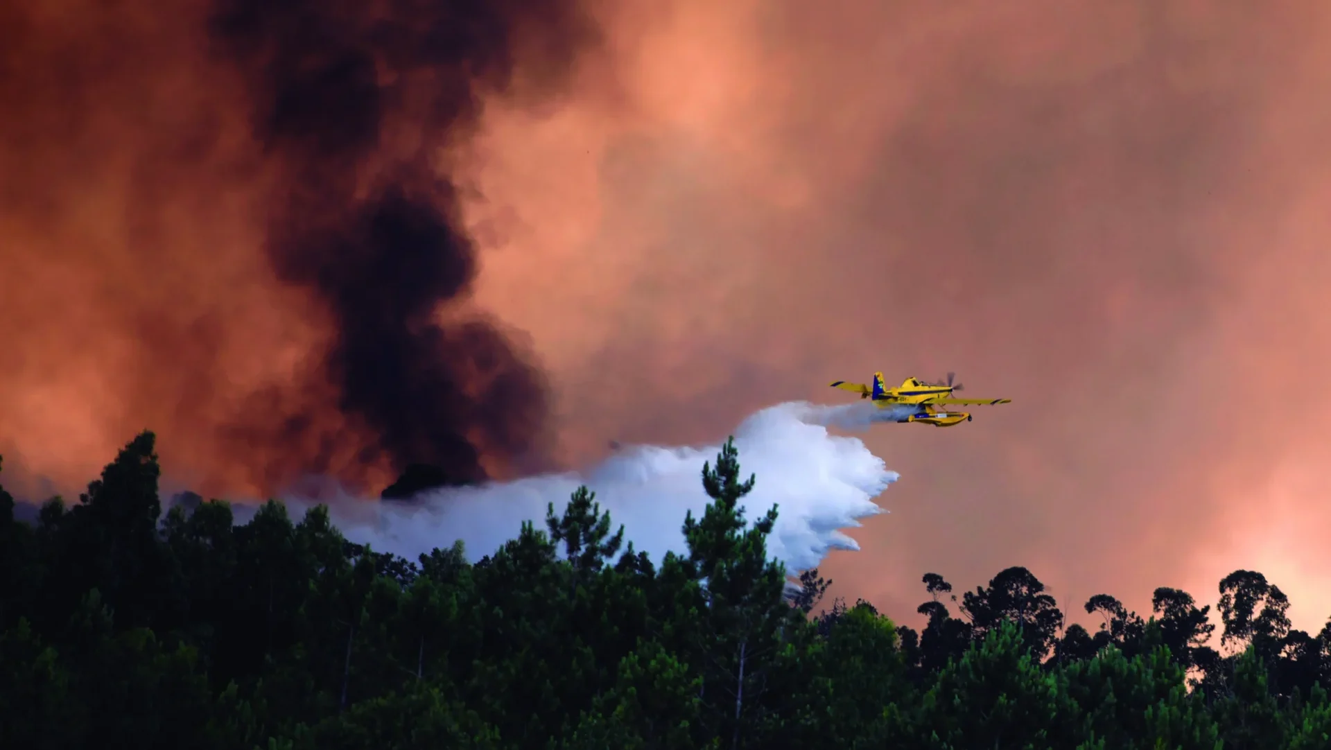 P8 Incendios Lfc