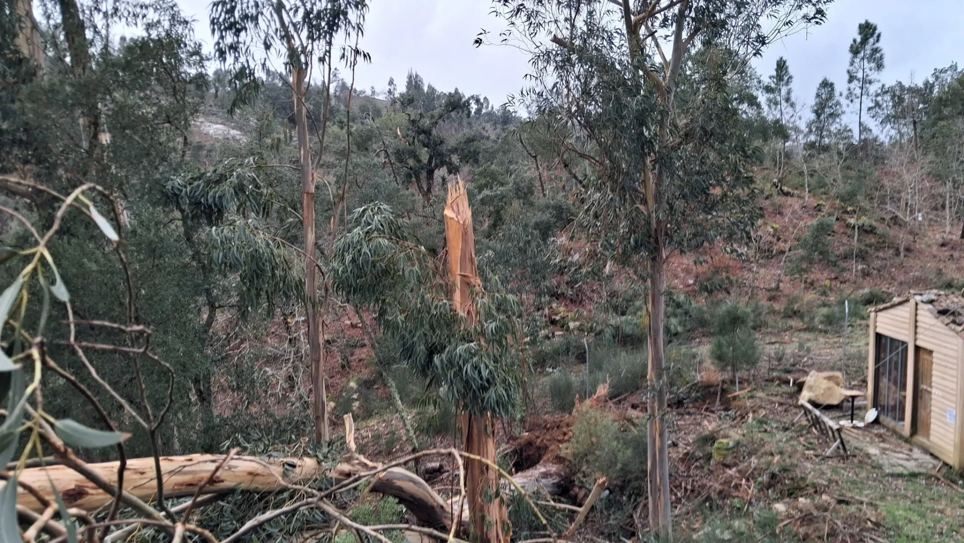 Pedrogão Parque De Campismo Afetado Tempestade