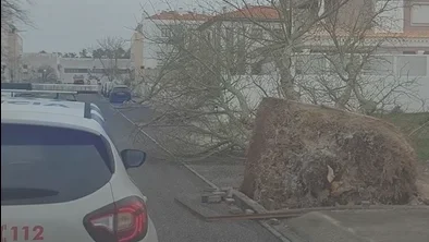 Psp De Leiria A Ajudar Leiria
