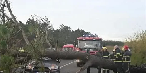 Socorro Figueiró