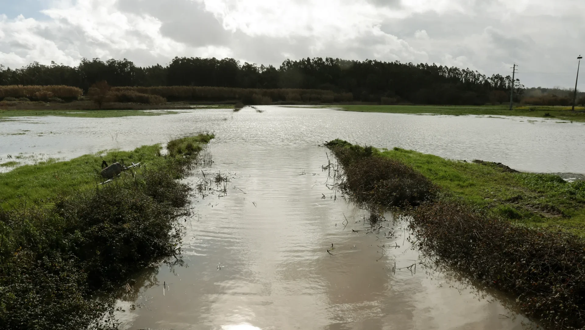 Agricultura Vale Do Lis