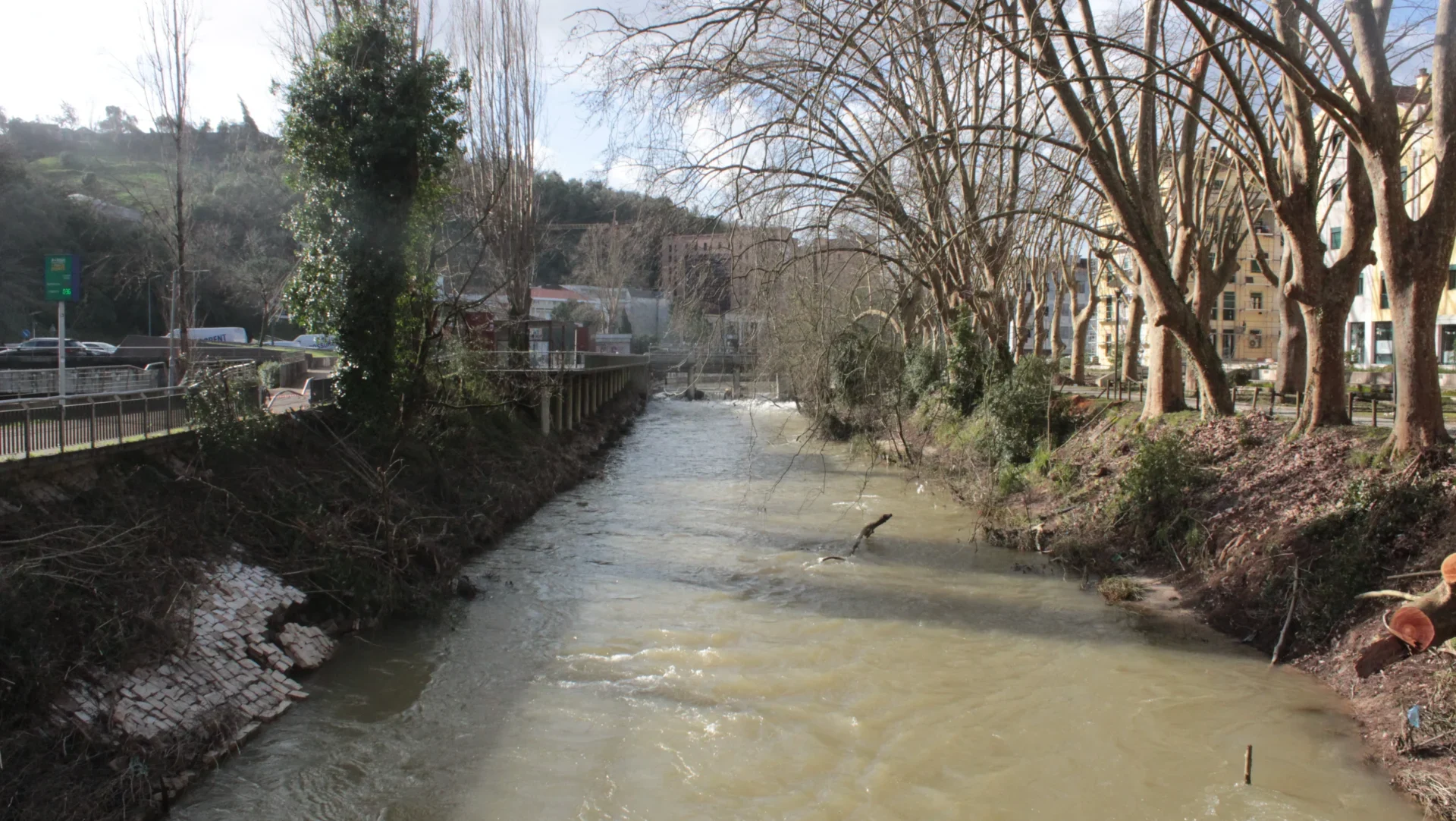 Árvores E Rio Leiria Depressao Kristin Maria Simoes 7