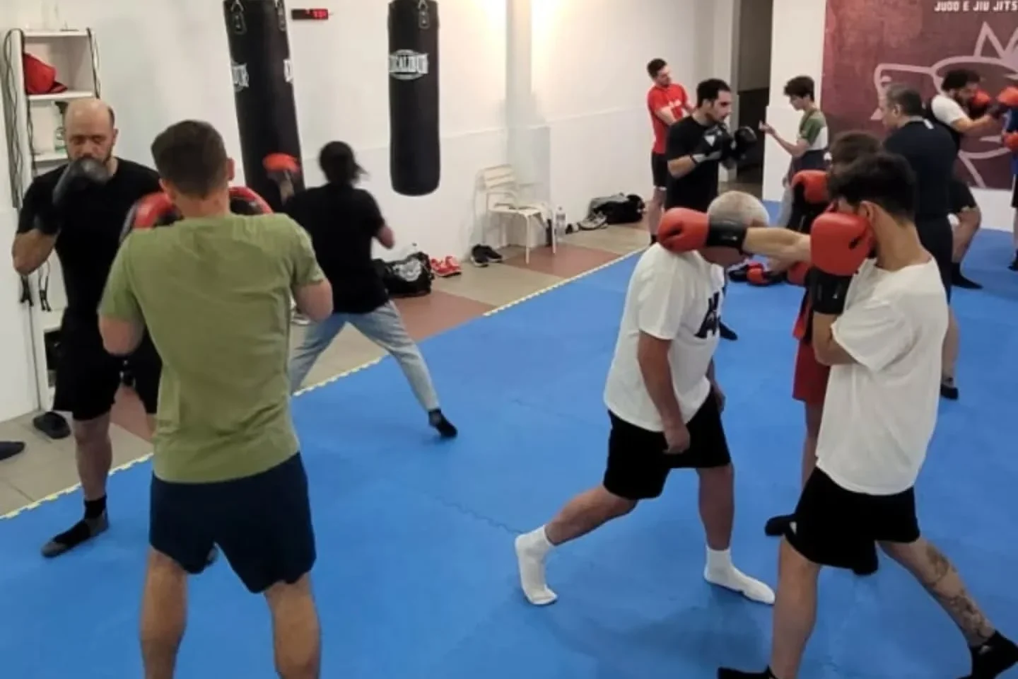 Boxe Lobos De Leiria
