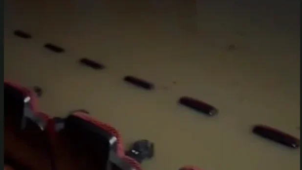 Captura De Ecrã 2026 02 06 160729