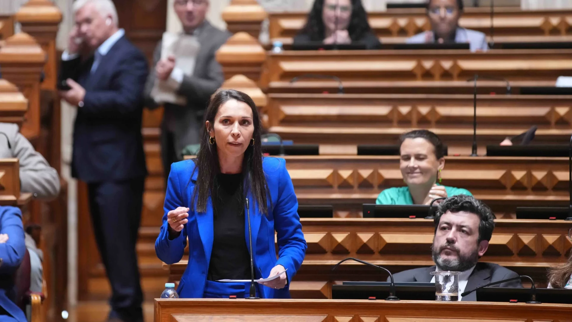 Catarina Louro