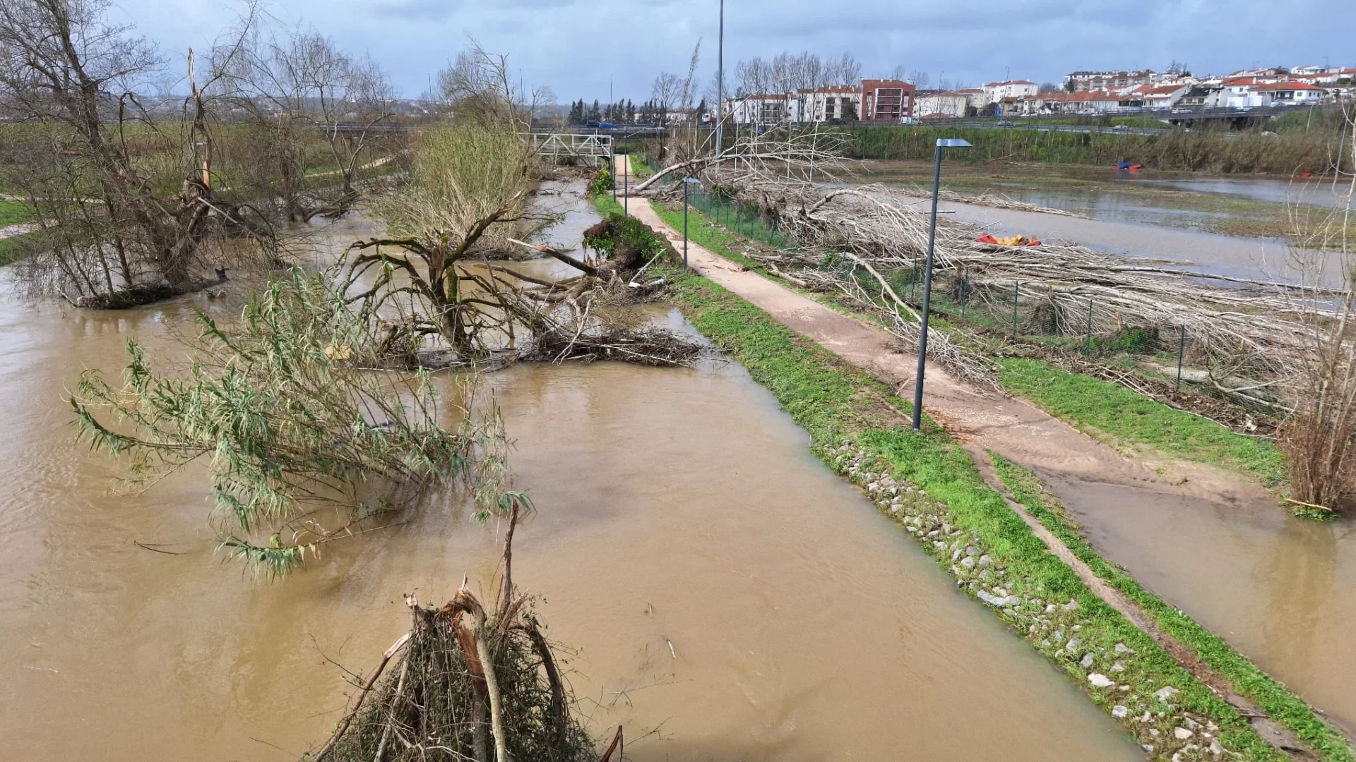 Cheiras Em Leiria Dia 12 Fev