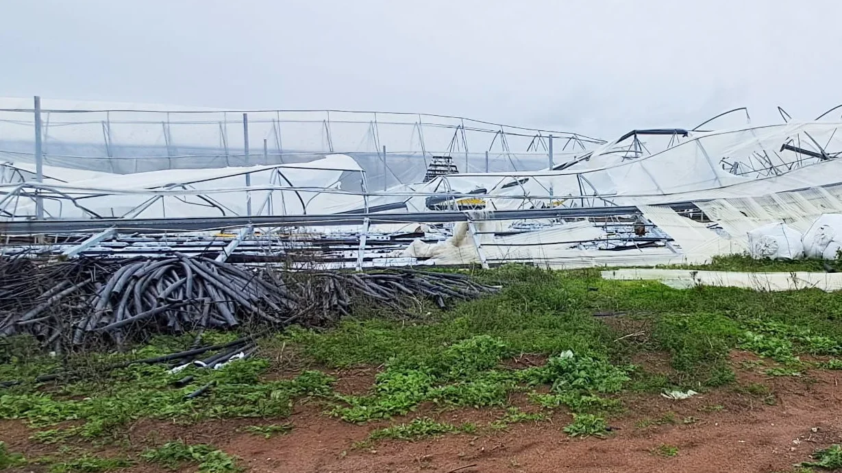 Estufa Destruida Oeste