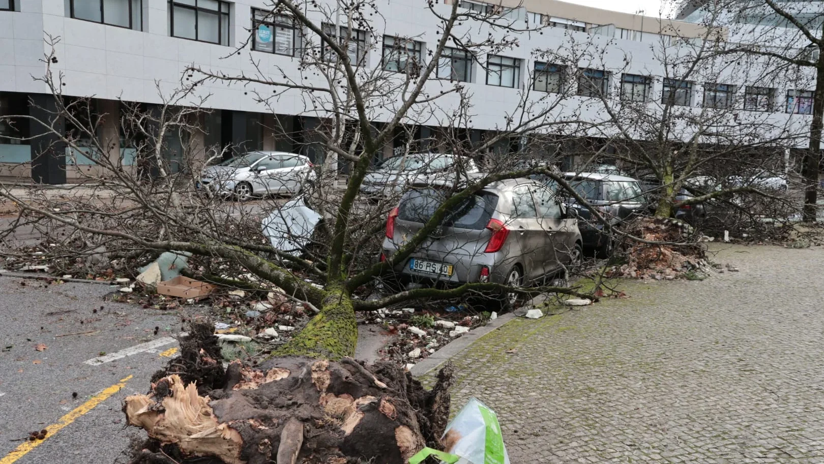 Leiria Destruída Pelo Mau Tempo 19