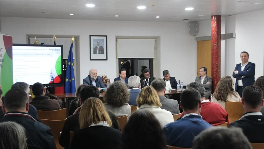 Nersant Sessão De Esclarecimento