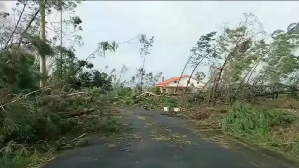 Ourém Arvores Após Depressão