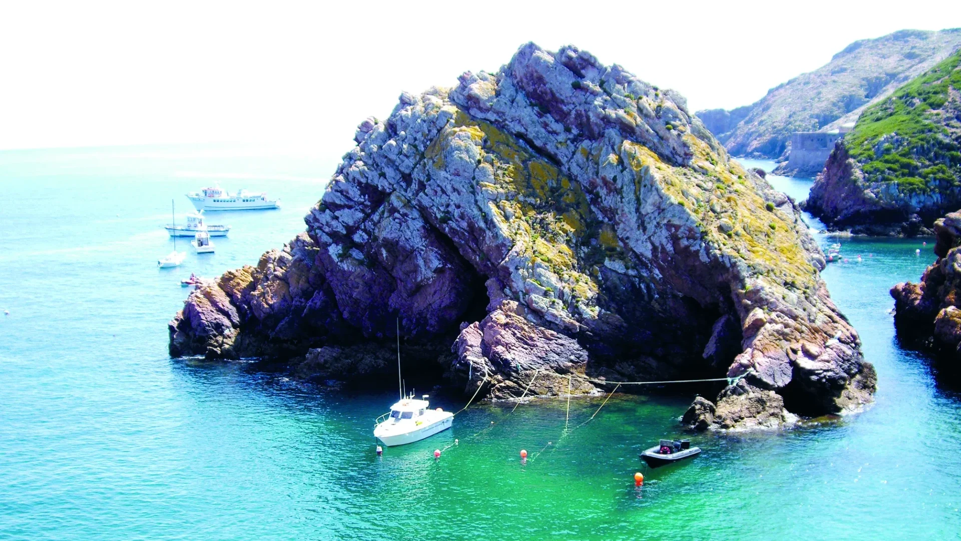 P13 Berlengas Foto Catarina Franco 2