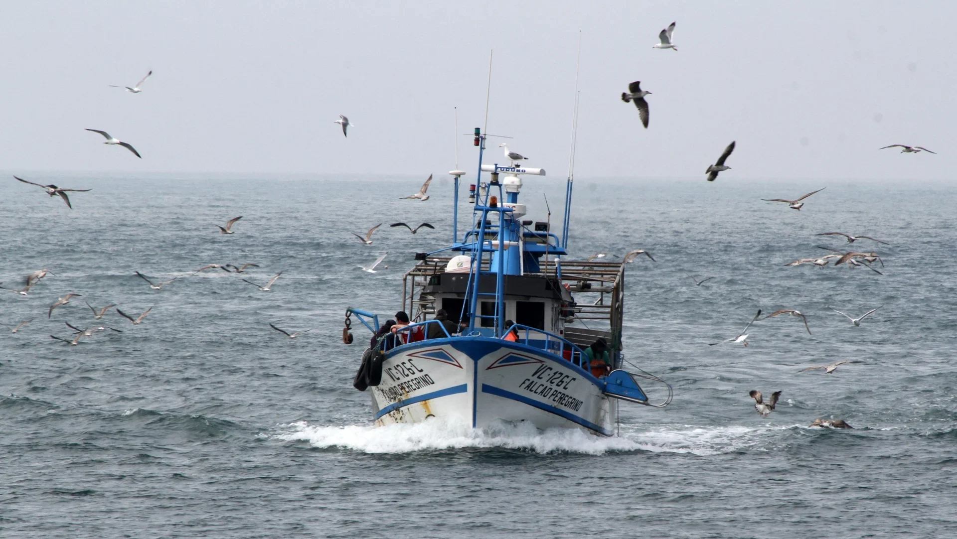 P13 Pescadores