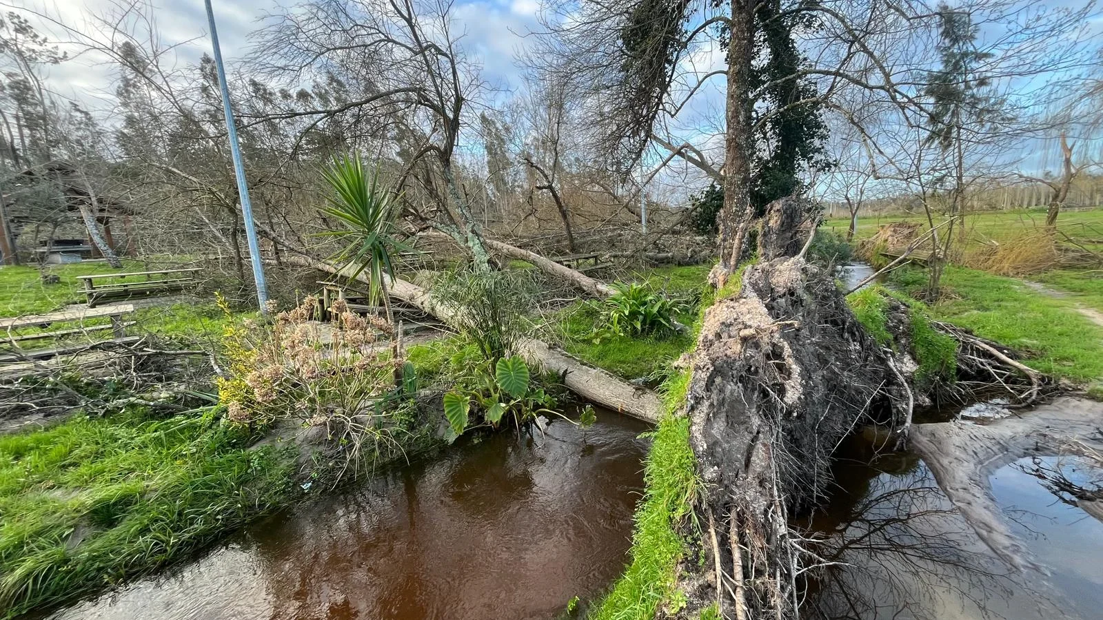 Parque De Merendas De Amor Junta De Freguesia 14