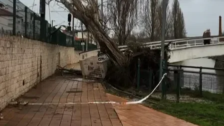 Pombal Fita Não Passar