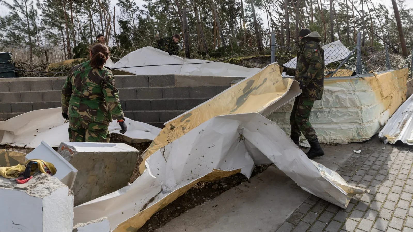 Remoção De Destroços