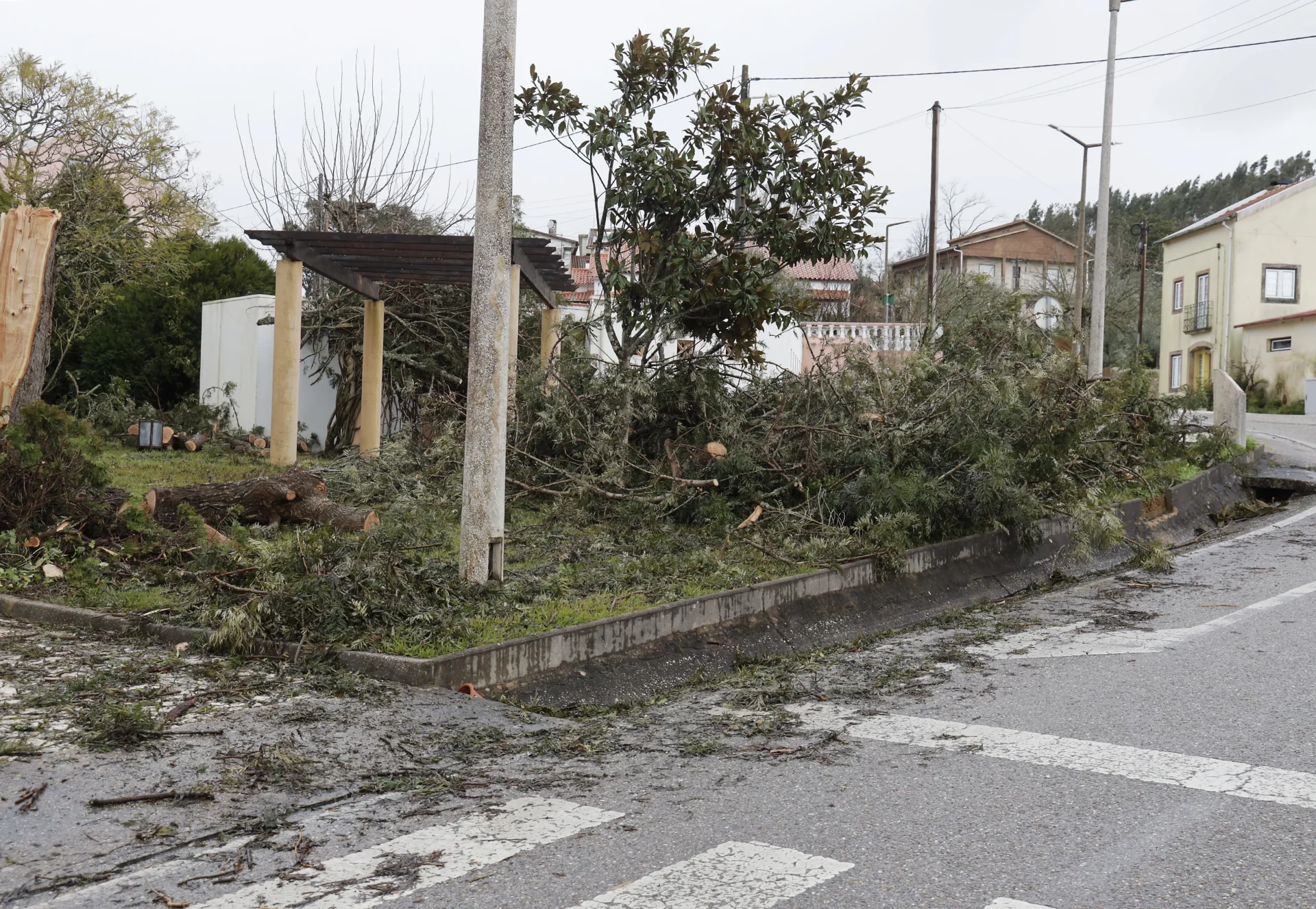 Tempestade Alvaiazere Fc 0691
