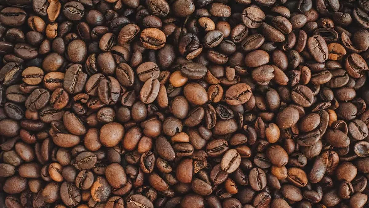 Cafe Grão