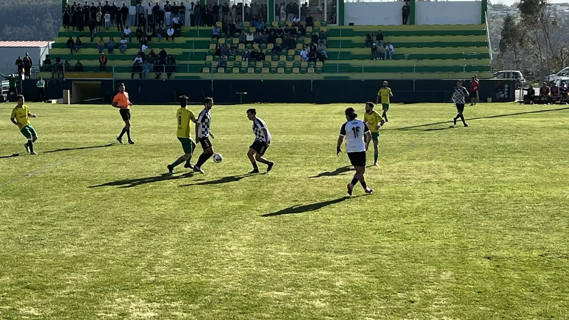 Caranguejeira Boavista 3