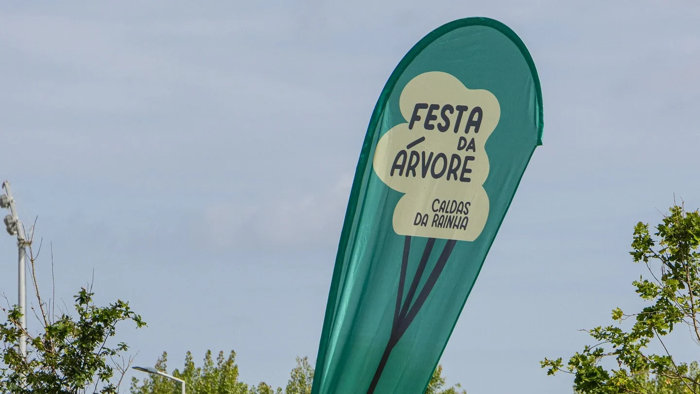 Festa Da árvore Caldas Da Rainha
