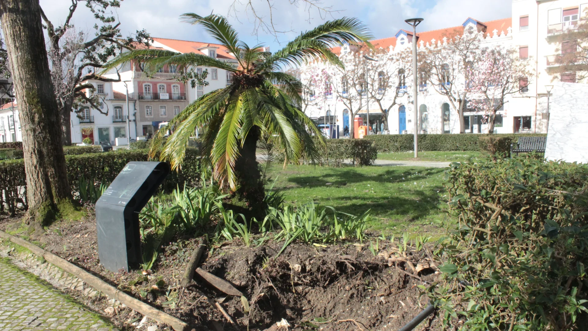 Jardim Camões