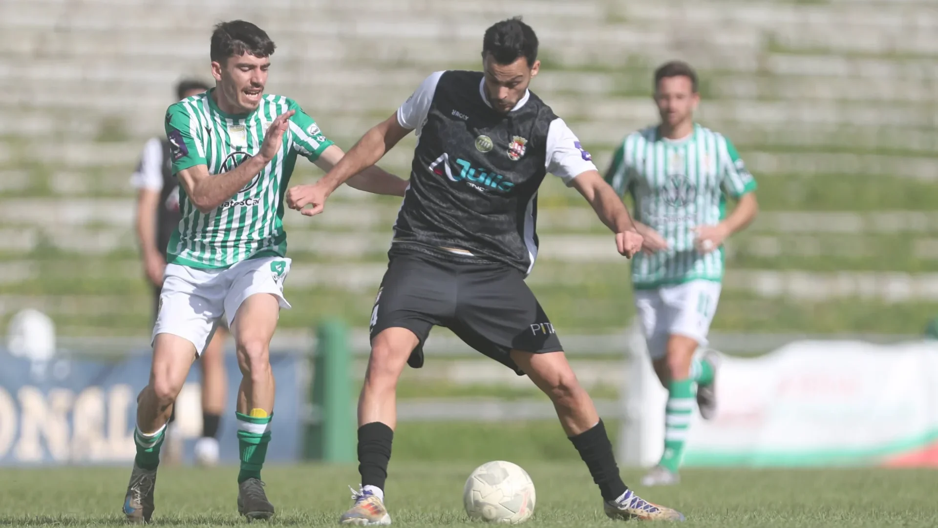 Lusitano Évora Caldas