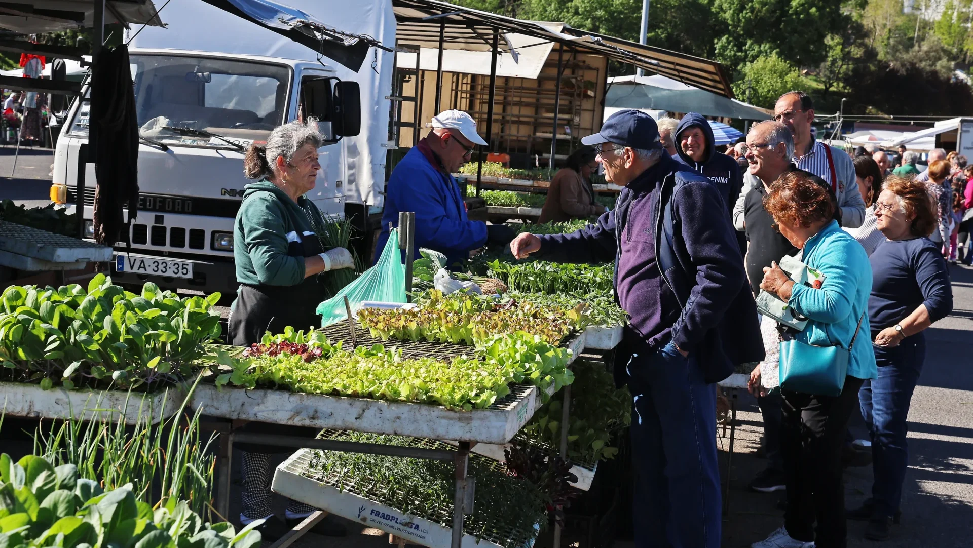 Mercado Do Levante Vendedores De Plantas E Horticolas