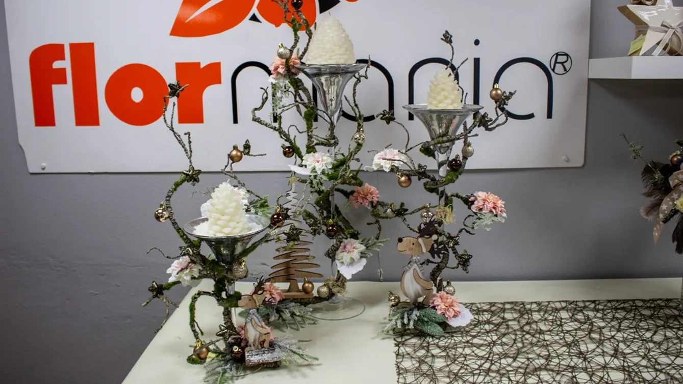 P18 Flormania Pombal Dr