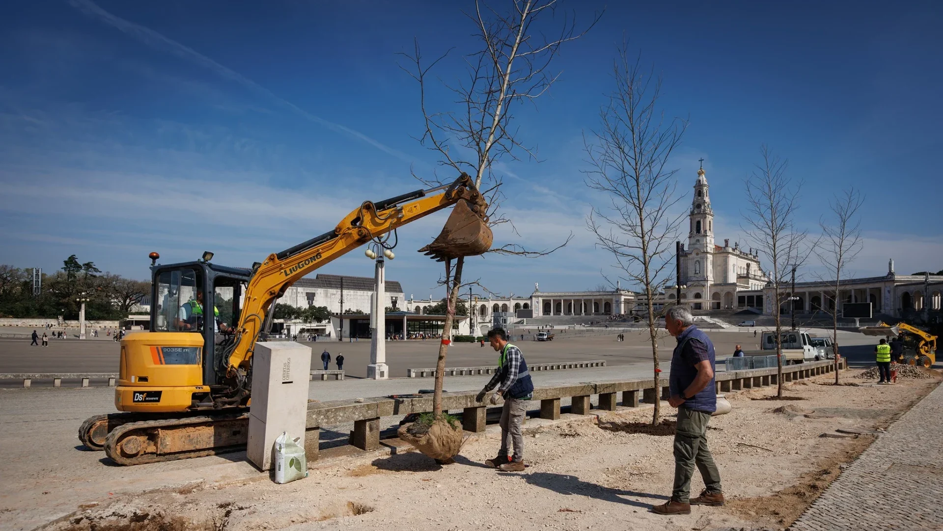 Santuário De Fátima Plantação Recinto