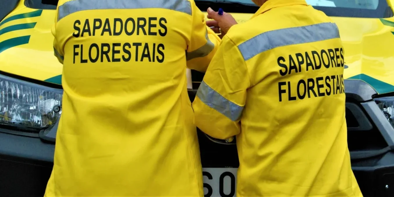 Sapadores Florestais