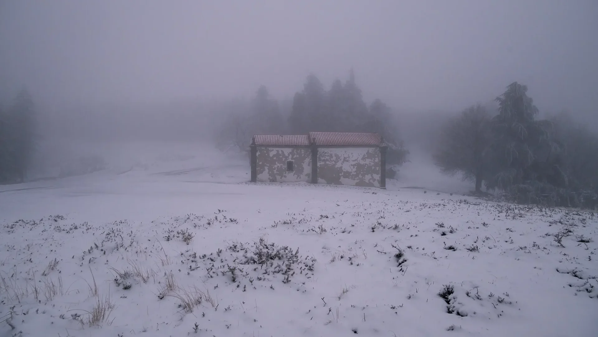 Neve Castanheira De Peraa