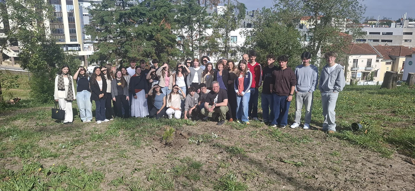 Arvore Erasmus Leiria 6