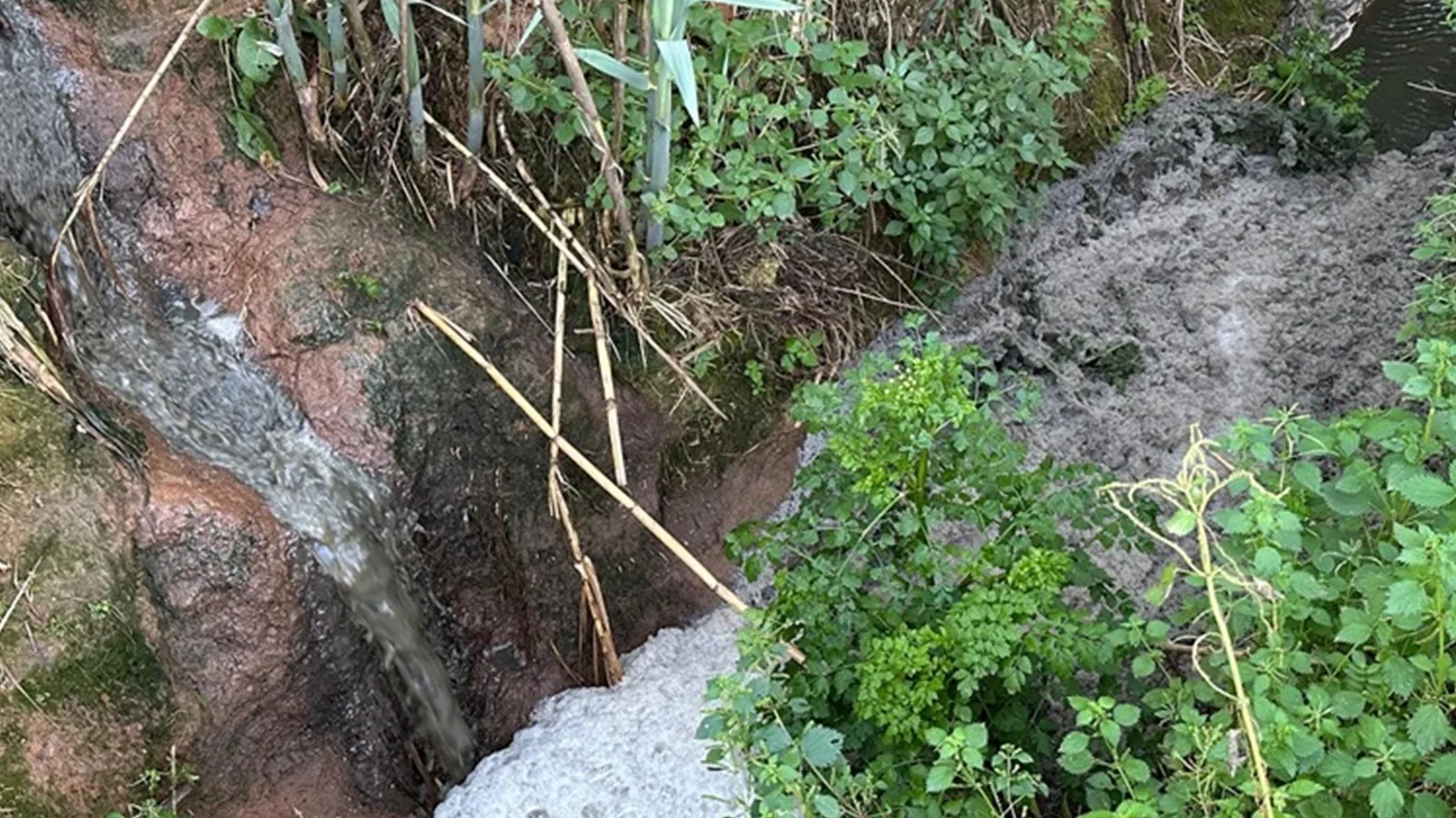 Caldas Da Rainha Detetada Descarga Ilegal De Efluentes Pecuários Gnr