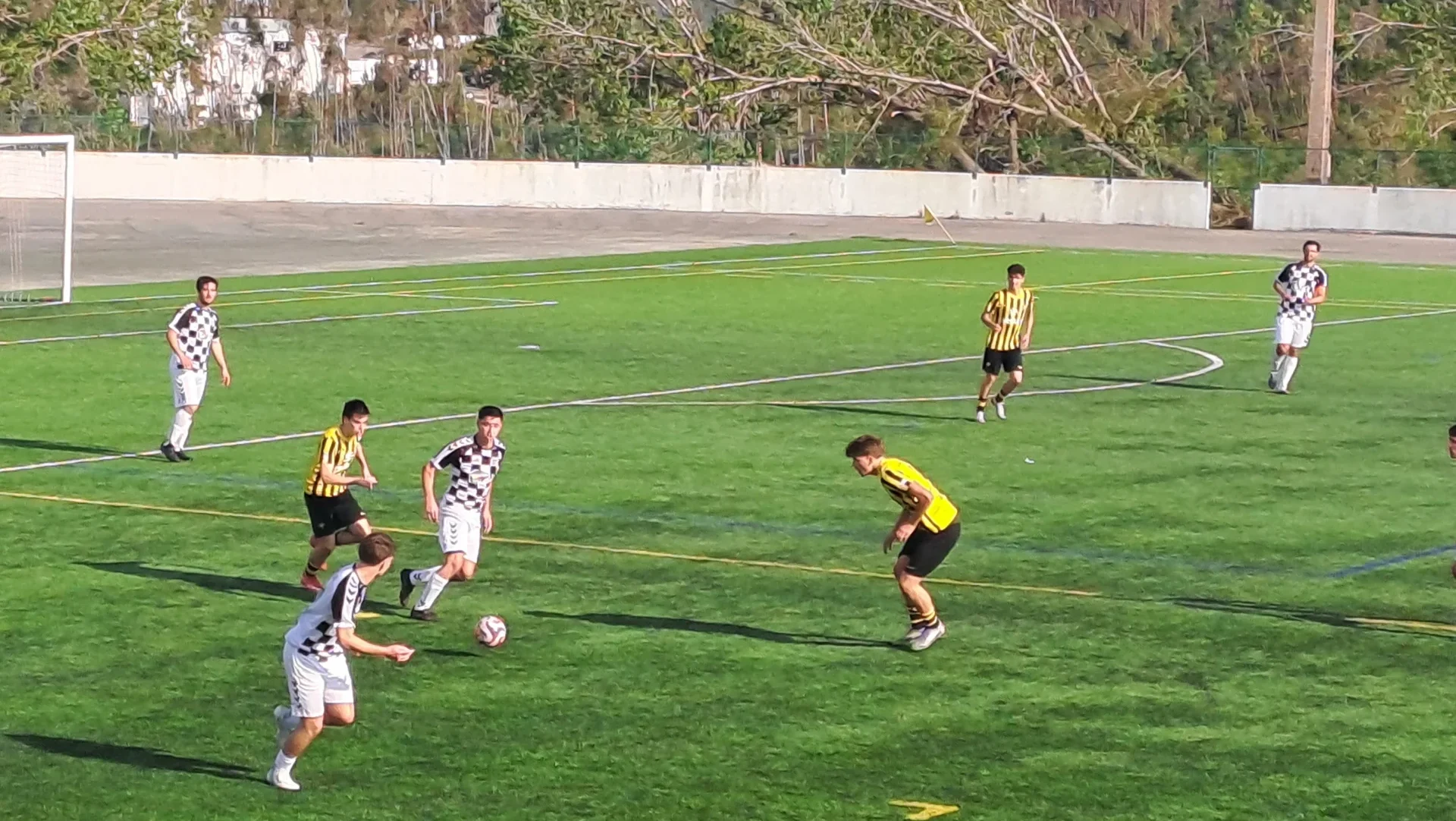 Grap Boavista