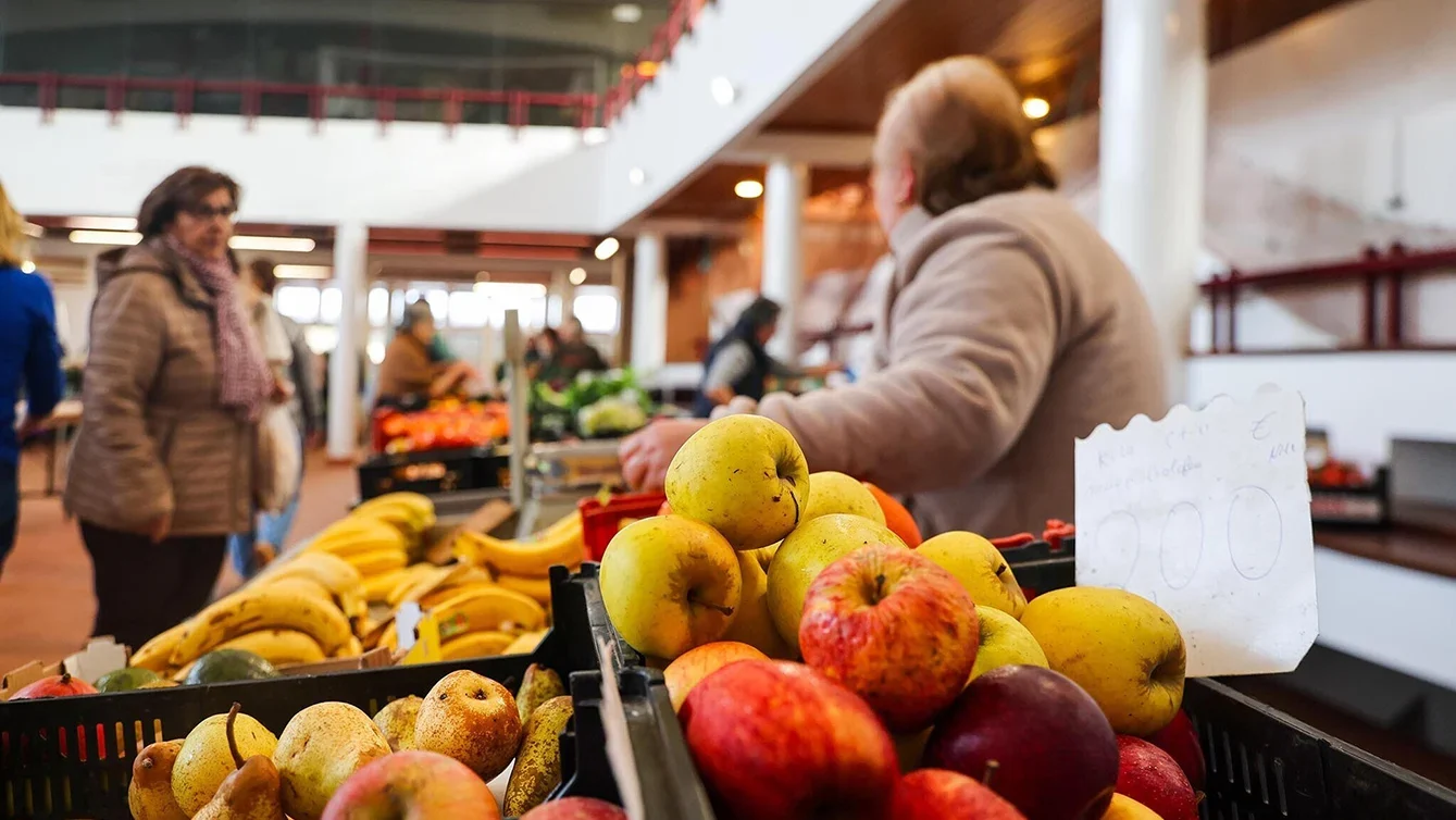 P13 Mercado Municipal Nazaré Cmn