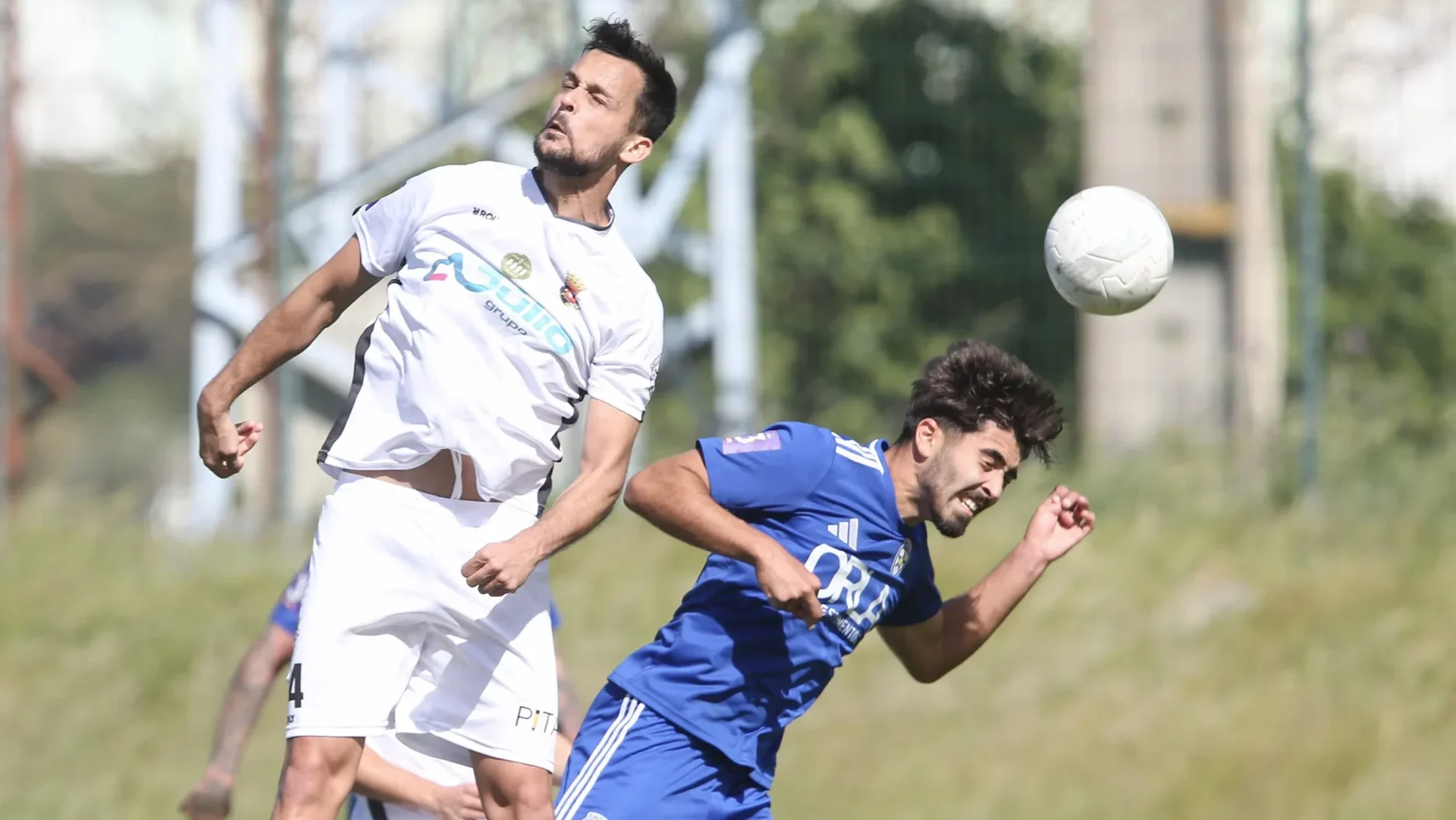 P14 Amora Caldas